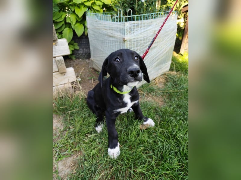 EDGAR - Jungspund sucht seine eigene Familie