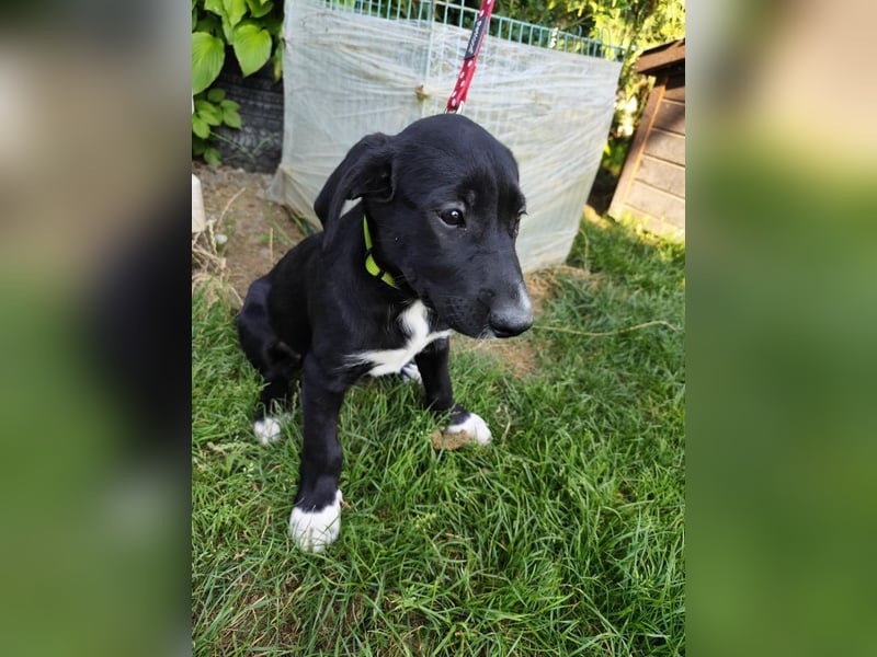 EDGAR - Jungspund sucht seine eigene Familie
