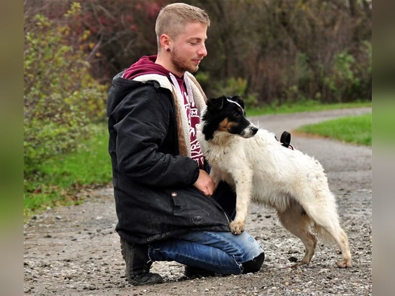 Evan S147 hat einen fröhlichen, verspielten ch
