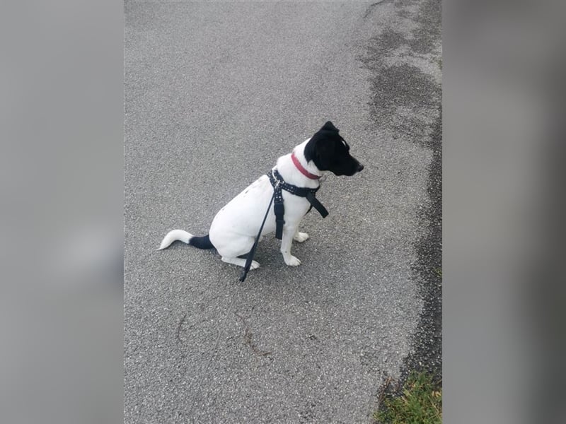 Waldy mag es bekuschelt zu werden