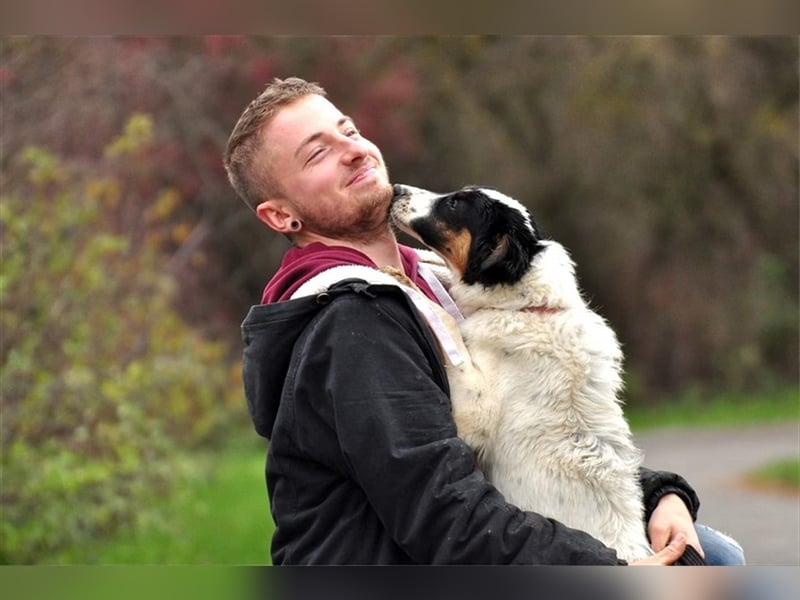 Evan S147 hat einen fröhlichen, verspielten ch