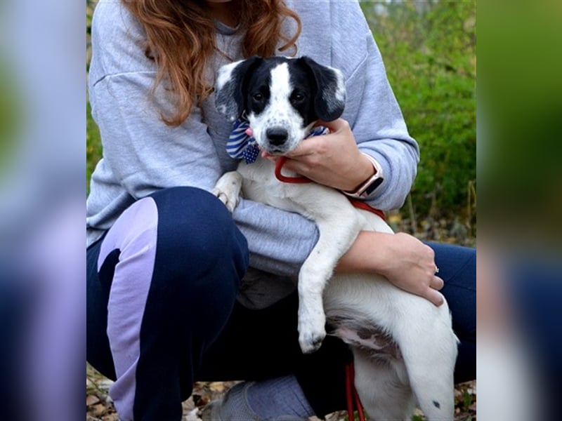 Jurko ist ein echter Hingucker