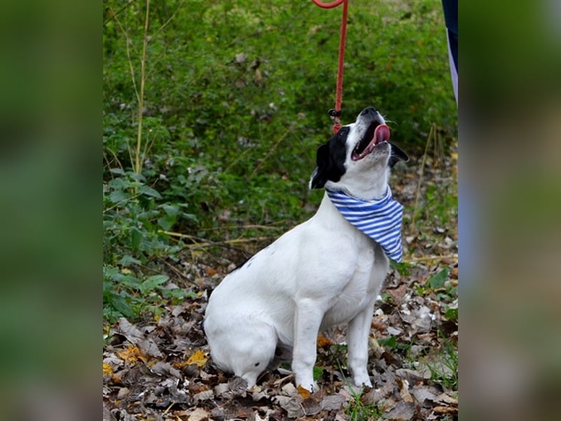Jurko ist ein echter Hingucker