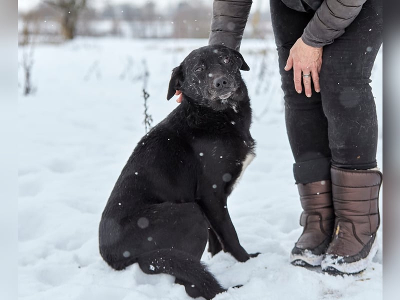 Süßer selbstbewusster Charakterhund Chunya ❤️ sucht eine Familie