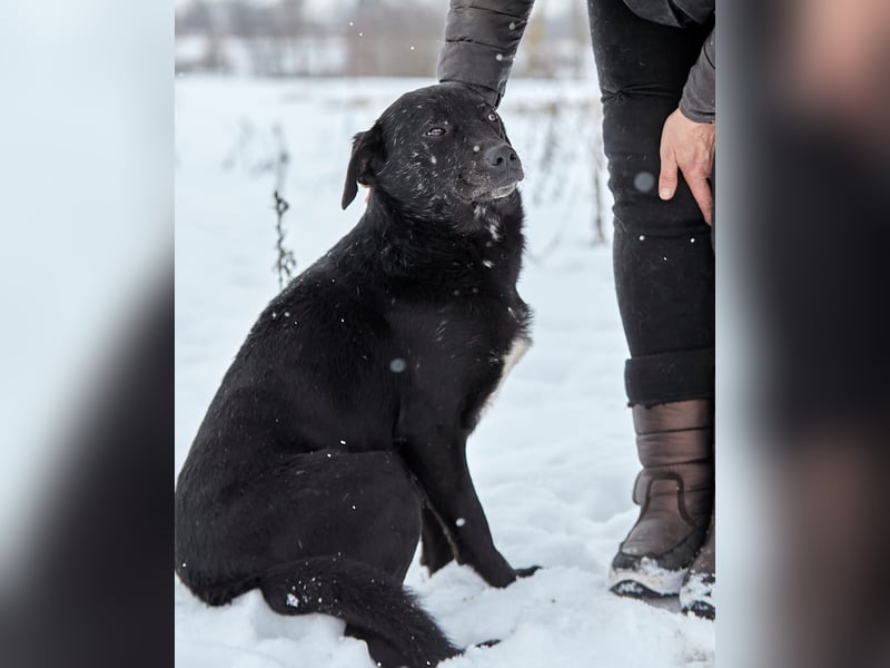 Süßer selbstbewusster Charakterhund Chunya ❤️ sucht eine Familie