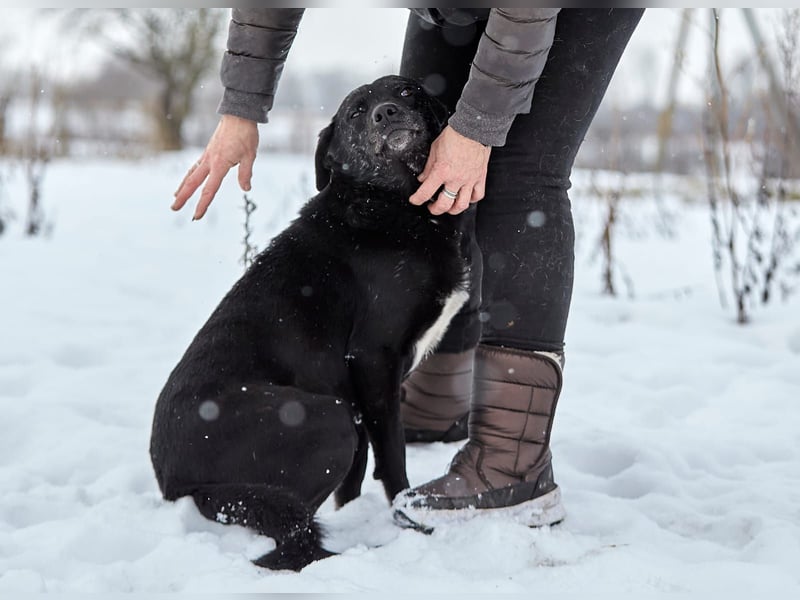 Süßer selbstbewusster Charakterhund Chunya ❤️ sucht eine Familie