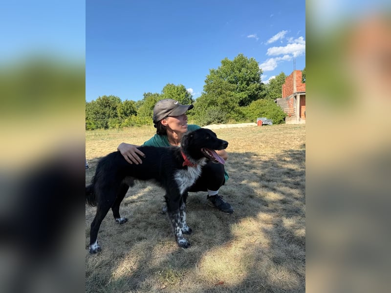Süßfratz Bruno sucht sein Zuhause ❤️