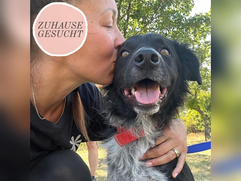 Süßfratz Bruno sucht sein Zuhause ❤️