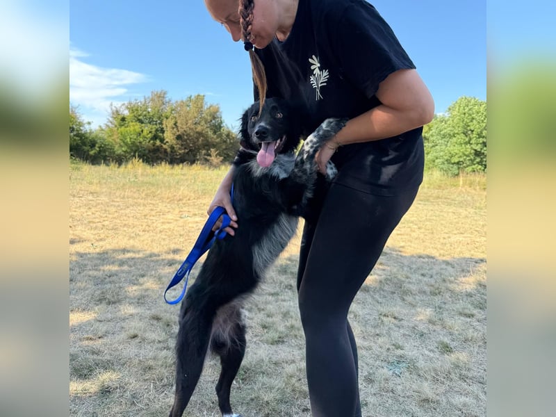 Süßfratz Bruno sucht sein Zuhause ❤️
