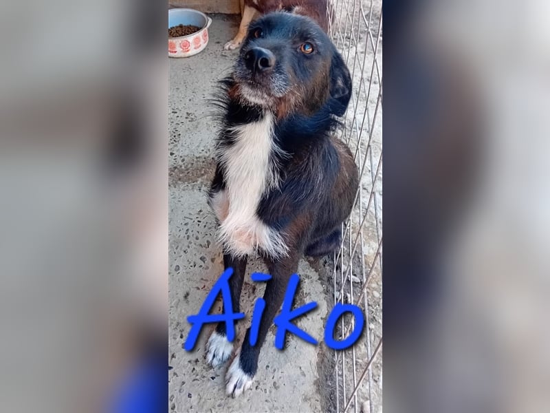 Unser toller Aiko