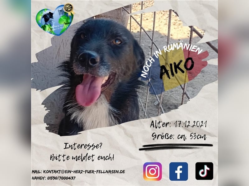 Unser toller Aiko