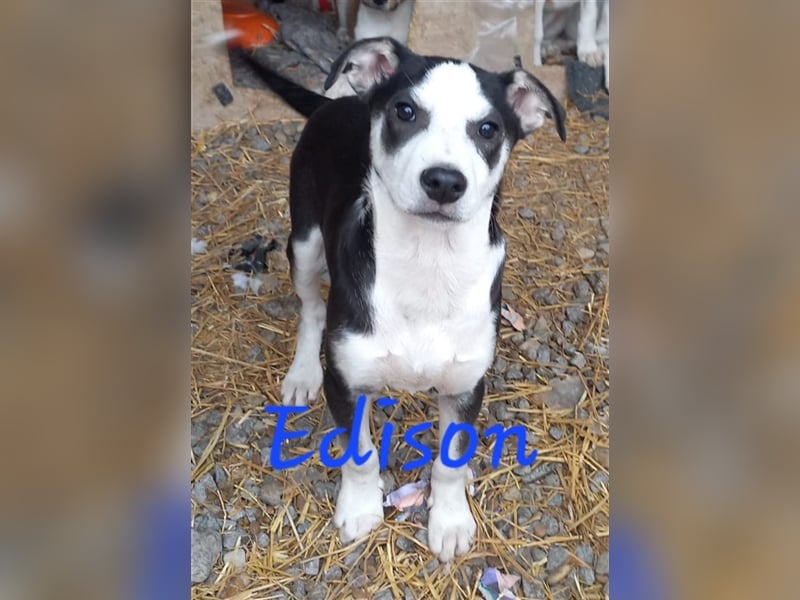 Unser lieber Edison