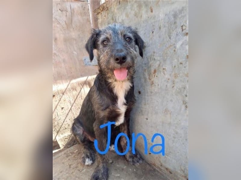 Unser Jona Sonnenschein