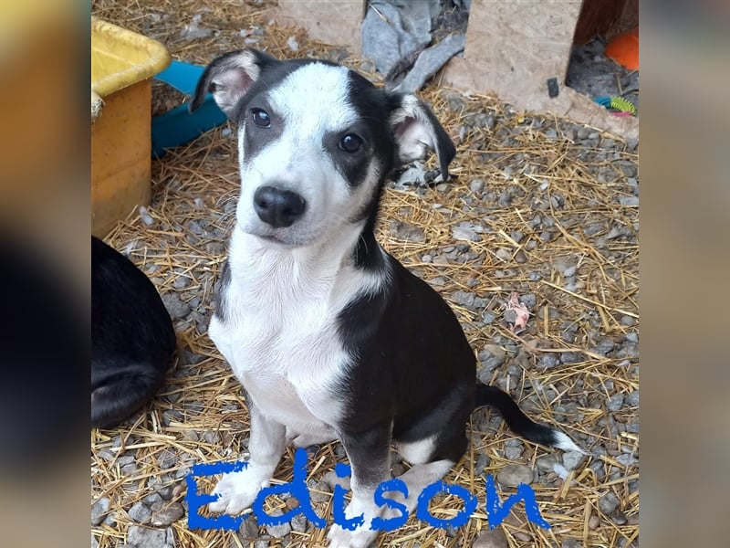 Unser lieber Edison