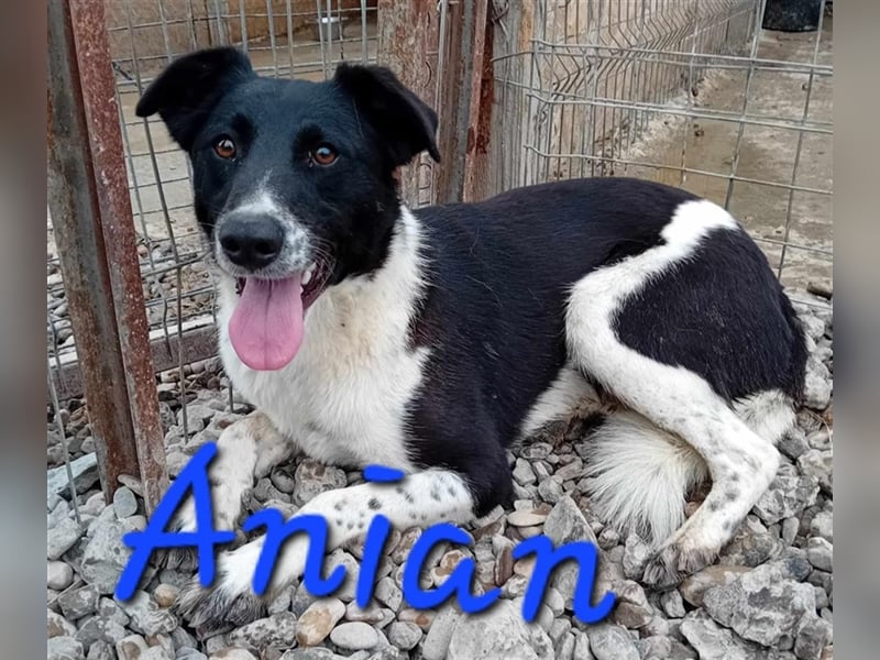 Unser niedlicher Anian