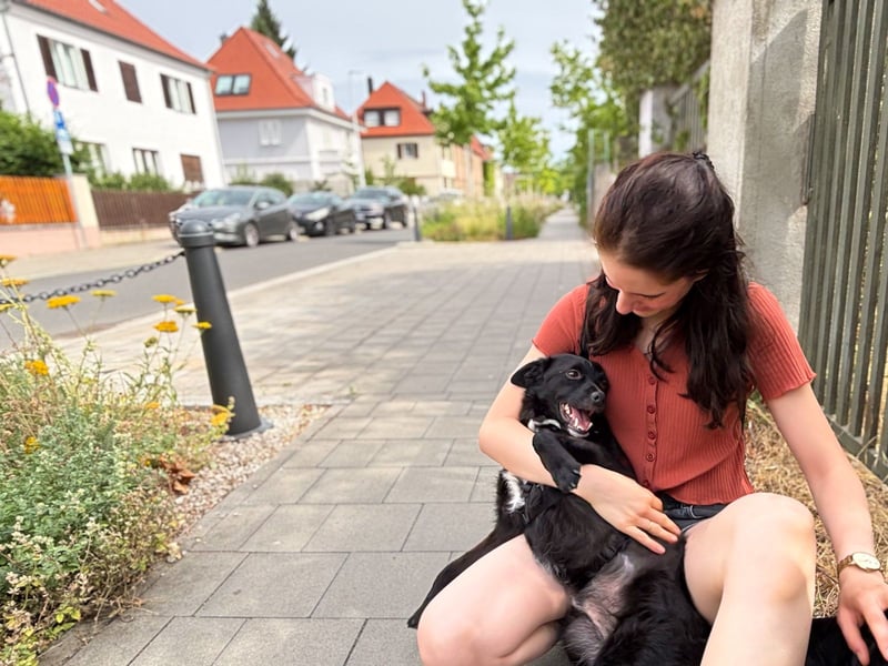 Freundlicher ELVIS möchte dich um seine hübschen Pfoten wickeln