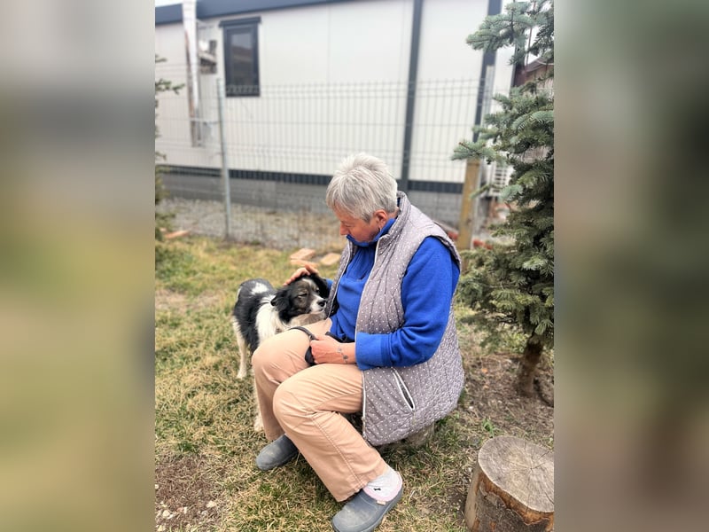 Max - sucht seine Familie