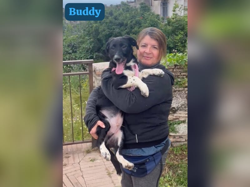 Buddy – ein kleiner, feiner Freund -