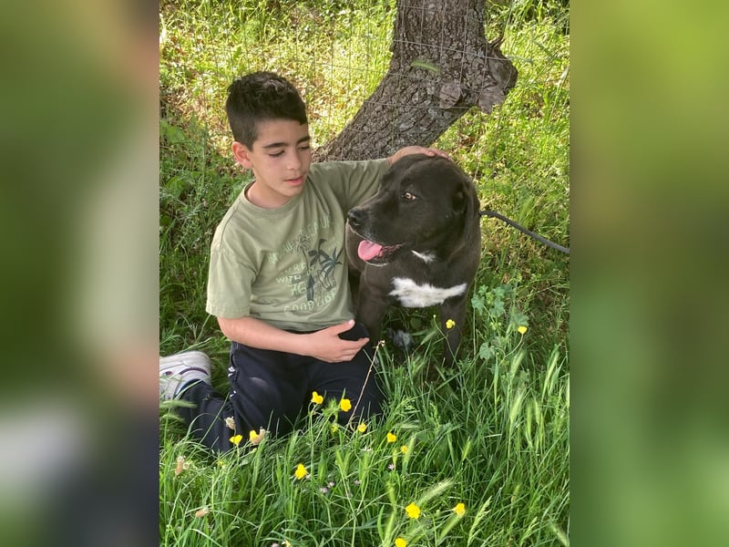 Giona – ein Hund und Gentleman!