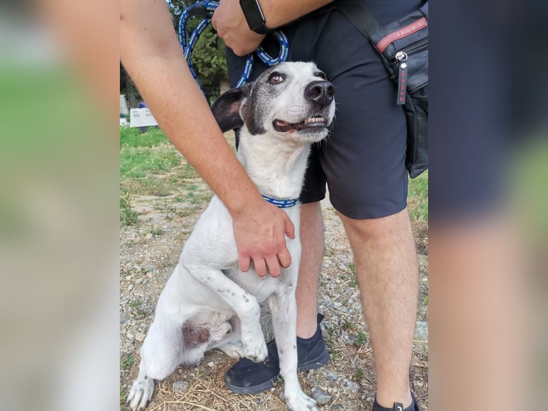 Capitano: „Nehmt Ihr mich an Bord?“