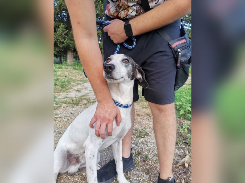 Capitano: „Nehmt Ihr mich an Bord?“