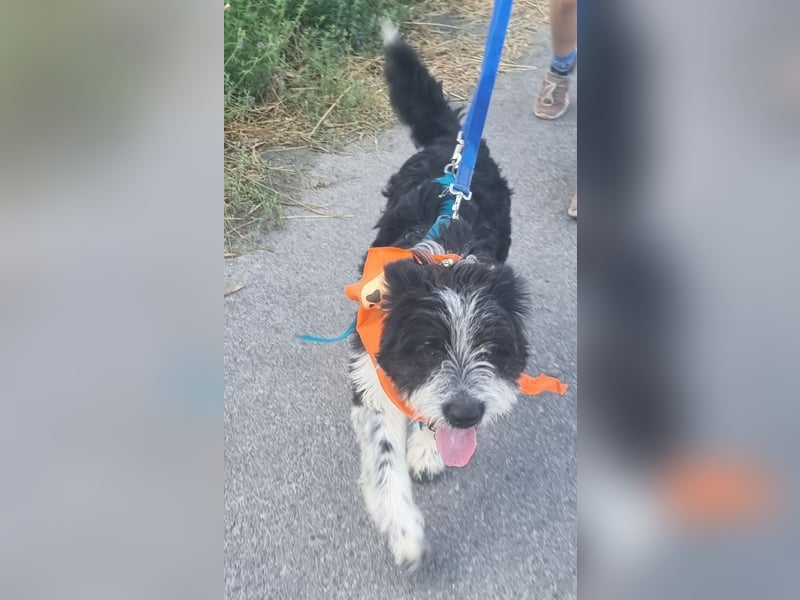 KISKO