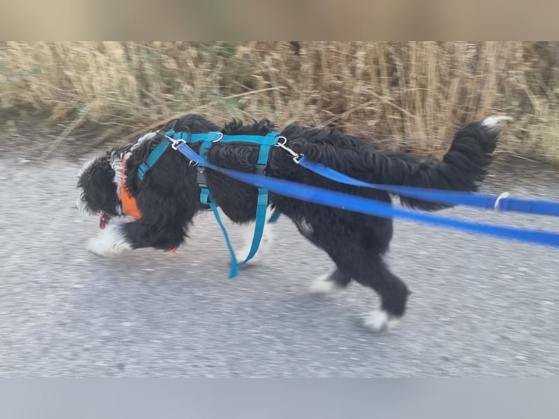 KISKO