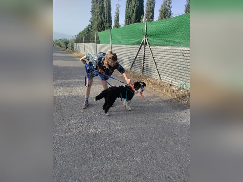 KISKO