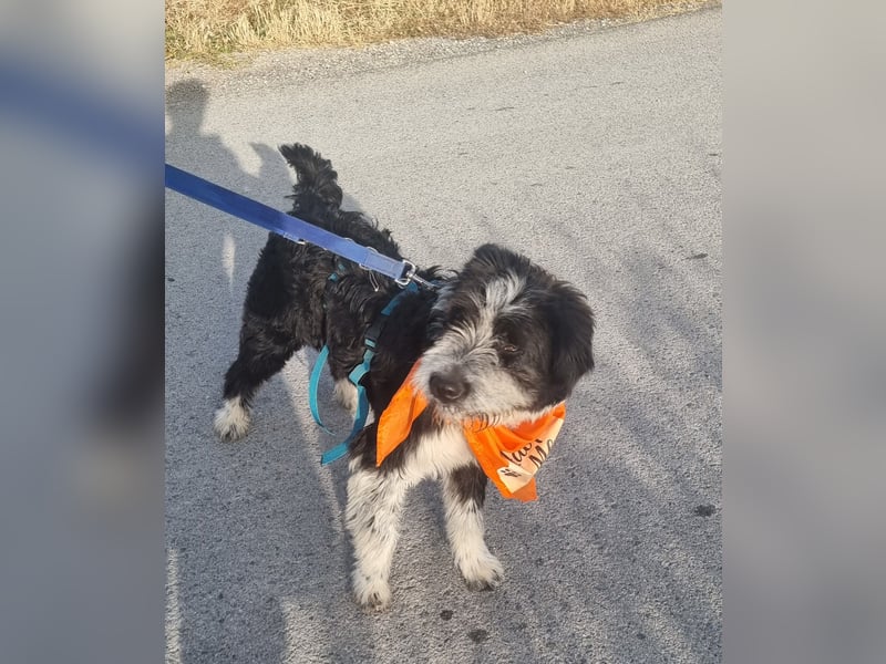 KISKO