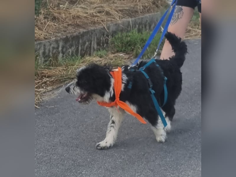 KISKO