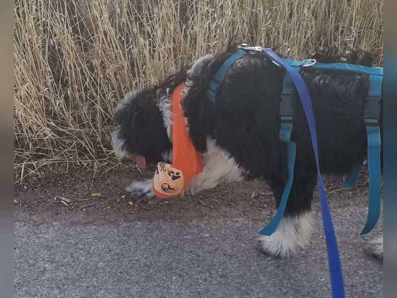 KISKO