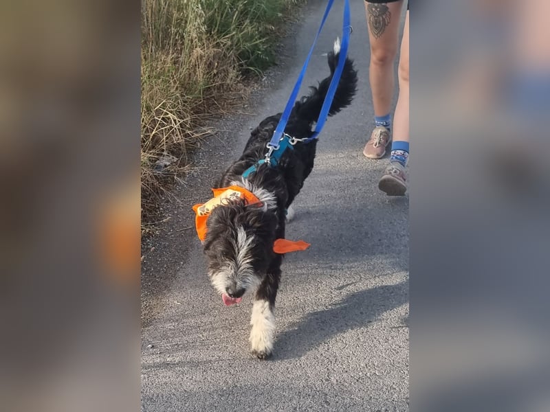 KISKO