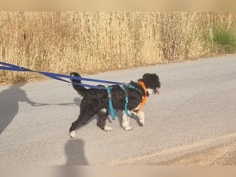 KISKO