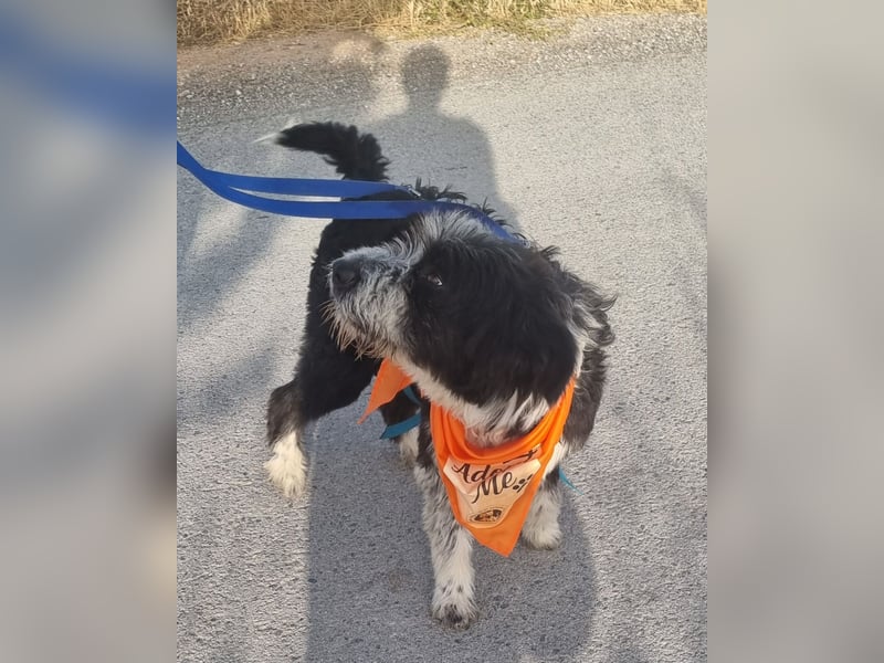 KISKO