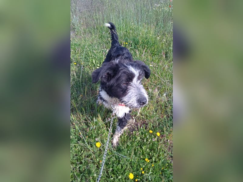 KISKO