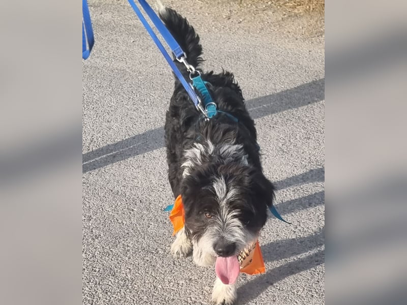KISKO