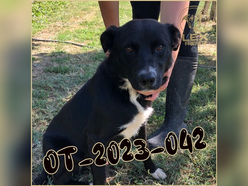 OT-2023-042 hofft auf Rettung