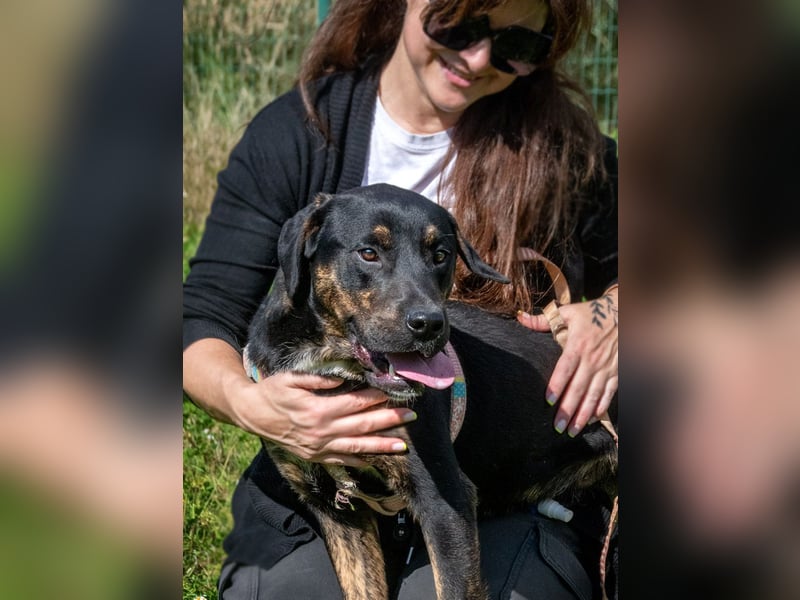 Alejandro – ein lebensfroher Hundejunge