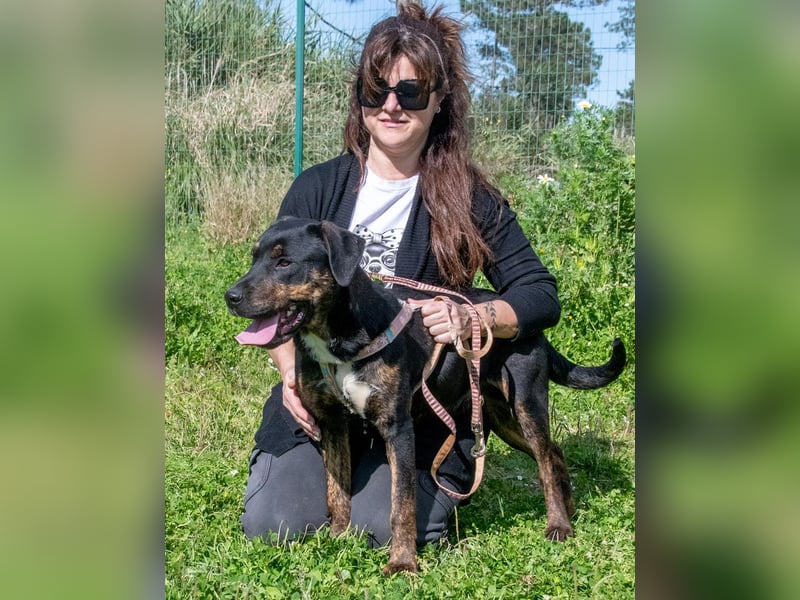 Alejandro – ein lebensfroher Hundejunge