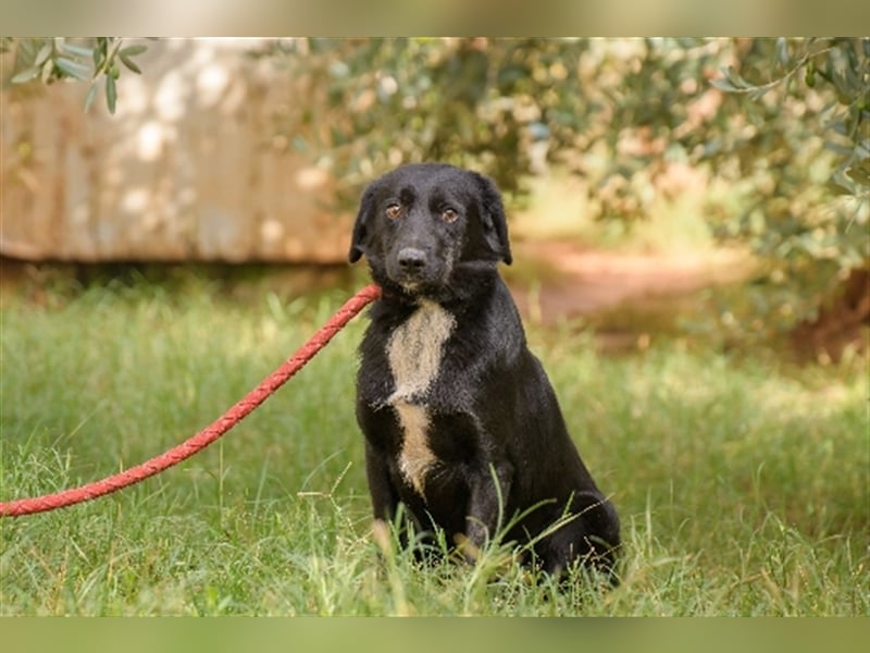 Evander ( * 01.2021 ) sucht seine Familie
