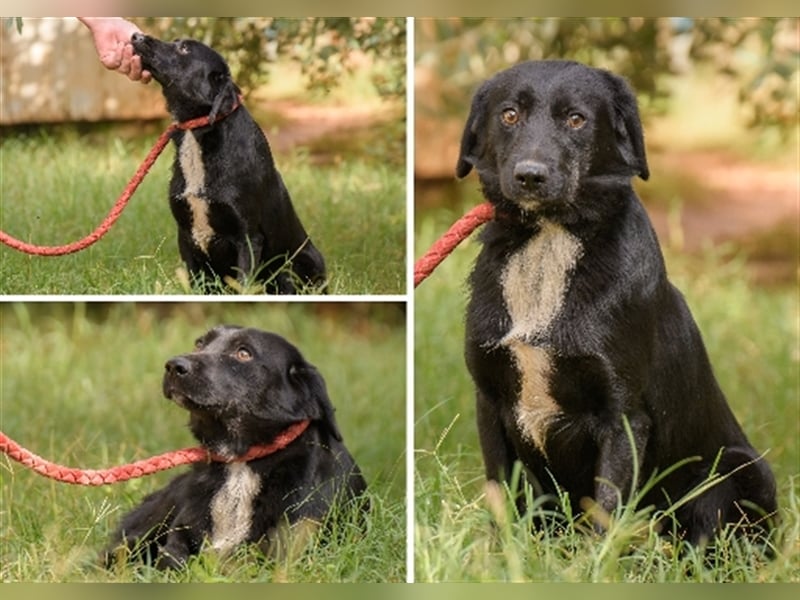 Evander ( * 01.2021 ) sucht seine Familie