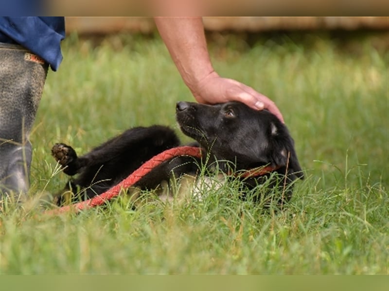 Evander ( * 01.2021 ) sucht seine Familie