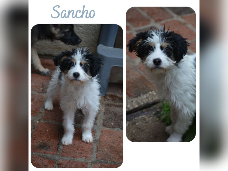 Sancho