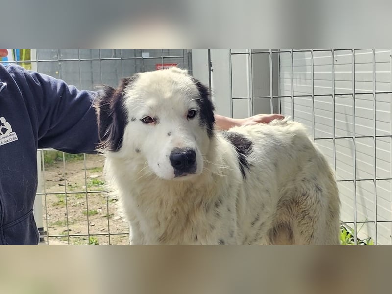 Lallo - bereit für Abenteuer