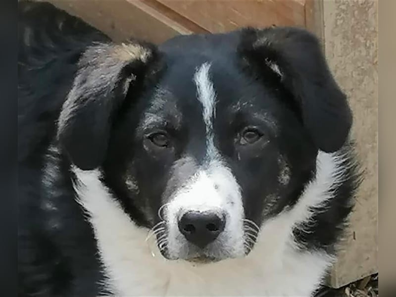 Paco