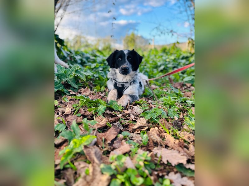 Pablo