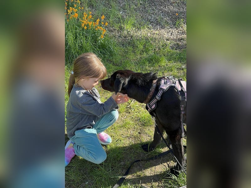 Sanfter Riese Fido hat eine Neubeschreibung