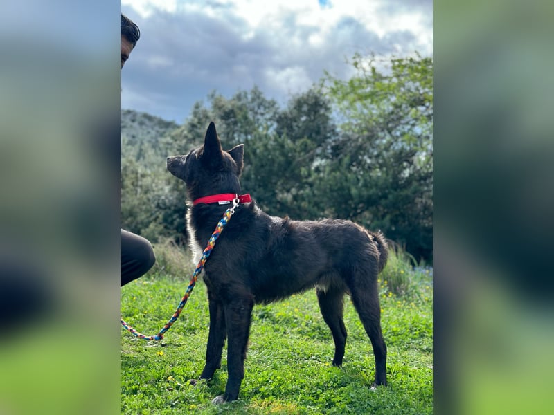 Toby ist startklar für ein neues Leben
