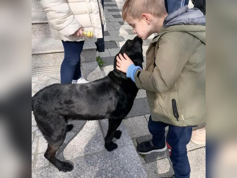 Charlie ein liebenswerter Schatz
