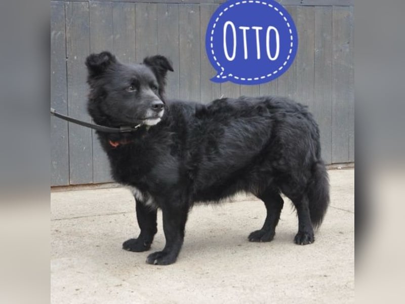 Otto ein pummeliger Bub